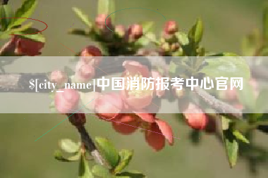 莘县中国消防报考中心官网