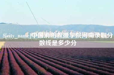 莘县中国消防救援学院河南录取分数线是多少分