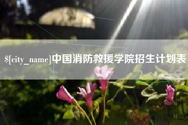 莘县中国消防救援学院招生计划表