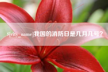 莘县我国的消防日是几月几号？