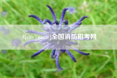 莘县全国消防招考网