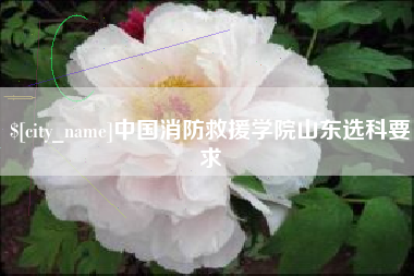 莘县中国消防救援学院山东选科要求