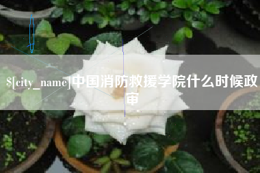 莘县中国消防救援学院什么时候政审