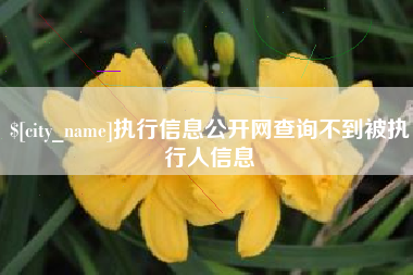 莘县执行信息公开网查询不到被执行人信息