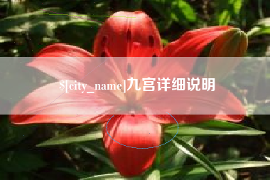 莘县九宫详细说明