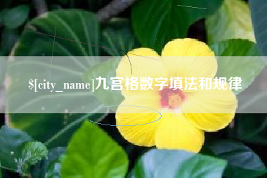 莘县九宫格数字填法和规律