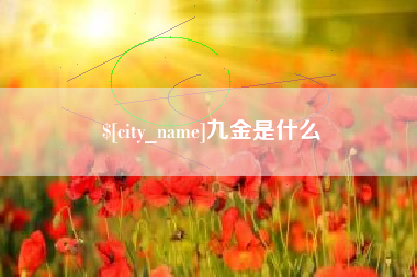 莘县九金是什么