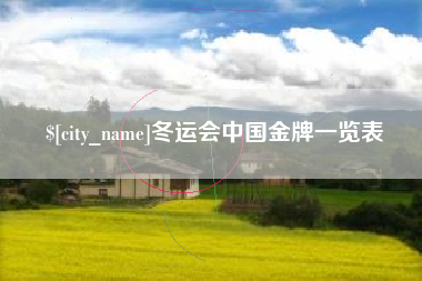 莘县冬运会中国金牌一览表