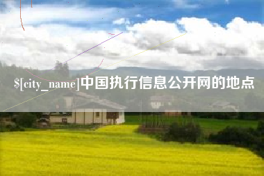 莘县中国执行信息公开网的地点