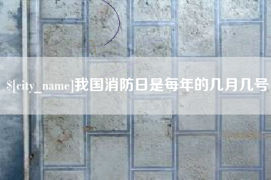 莘县我国消防日是每年的几月几号