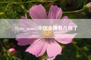 莘县中国金牌有几枚了
