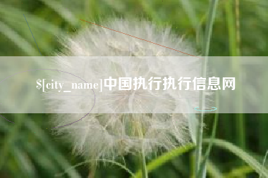 莘县中国执行执行信息网