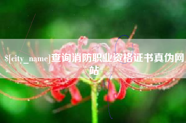 莘县查询消防职业资格证书真伪网站