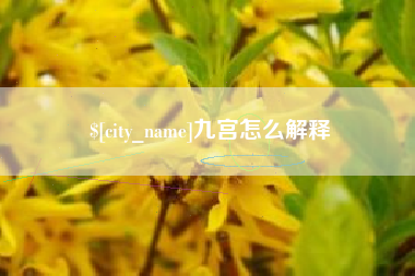 莘县九宫怎么解释