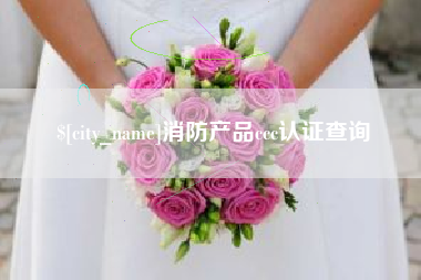 莘县消防产品ccc认证查询