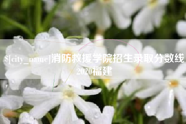 莘县消防救援学院招生录取分数线2020福建