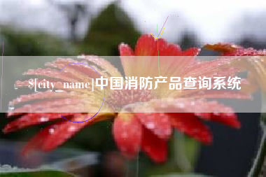 莘县中国消防产品查询系统