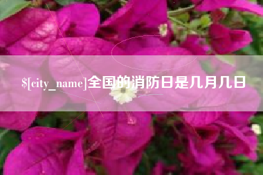 莘县全国的消防日是几月几日