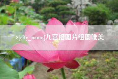 莘县九宫格图片组图唯美