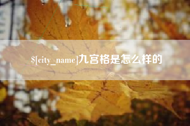 莘县九宫格是怎么样的