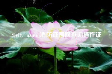 莘县消防证国网查询操作证