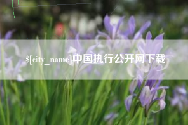 莘县中国执行公开网下载