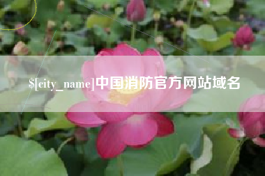 莘县中国消防官方网站域名