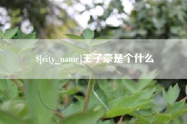 莘县王子豪是个什么