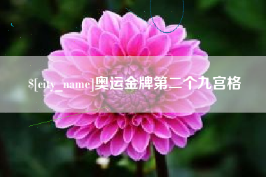 莘县奥运金牌第二个九宫格