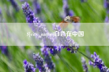 莘县白色在中国