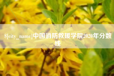 莘县中国消防救援学院2020年分数线