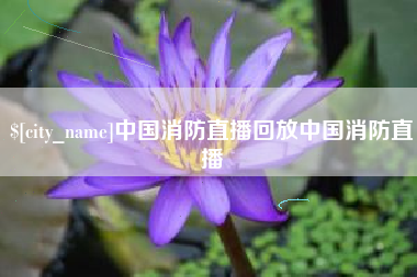 莘县中国消防直播回放中国消防直播