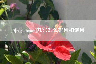 莘县九宫怎么排列和使用