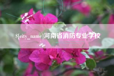 莘县河南省消防专业学校
