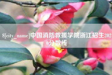 莘县中国消防救援学院浙江招生2020分数线