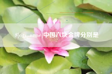 莘县中国六块金牌分别是