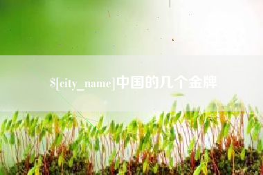莘县中国的几个金牌