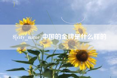 莘县中国的金牌是什么样的