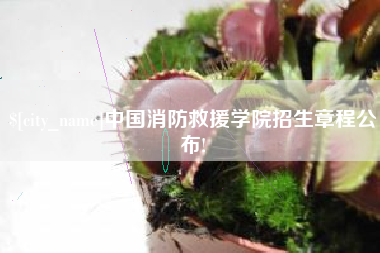 莘县中国消防救援学院招生章程公布!