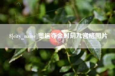 莘县奥运夺金时刻九宫格图片