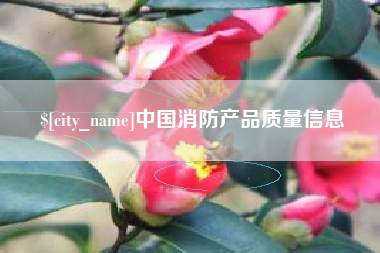 莘县中国消防产品质量信息