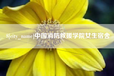 莘县中国消防救援学院女生宿舍