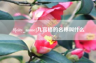 莘县九宫格的名称叫什么