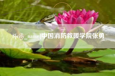 莘县中国消防救援学院张勇