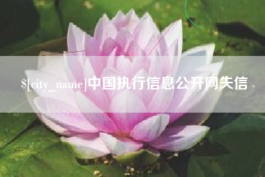 莘县中国执行信息公开网失信