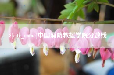 莘县中国消防救援学院分数线