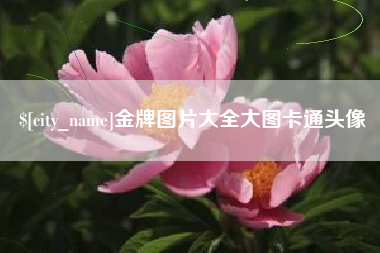 莘县金牌图片大全大图卡通头像