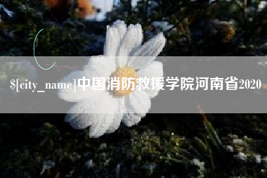 莘县中国消防救援学院河南省2020